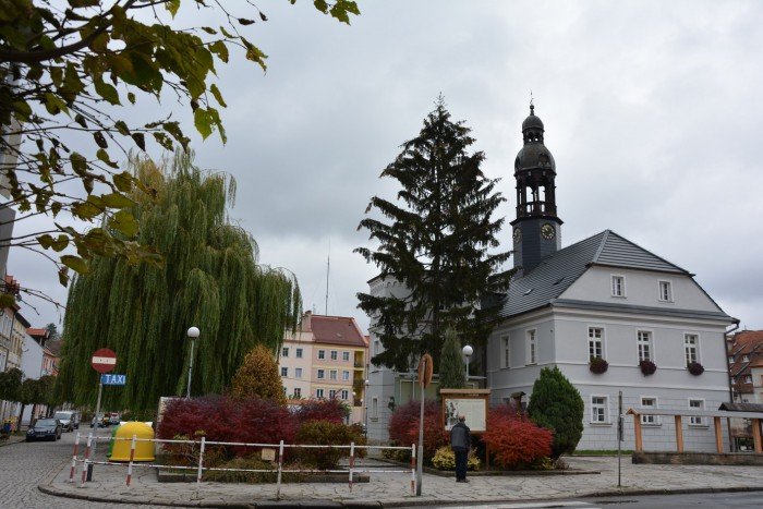 uczniowie-plastyka-na-jesiennym-plenerze-foto-60467