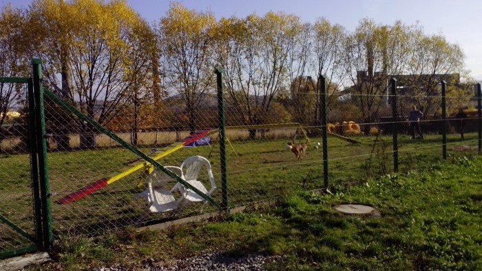 paczka-dla-zwierzaczka-od-modziezy-foto-60510