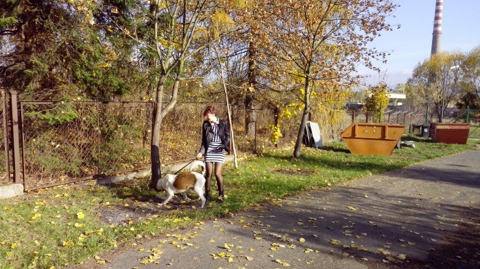 paczka-dla-zwierzaczka-od-modziezy-foto-60510