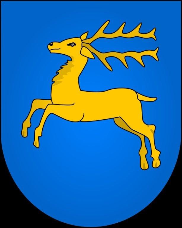 Kozienice