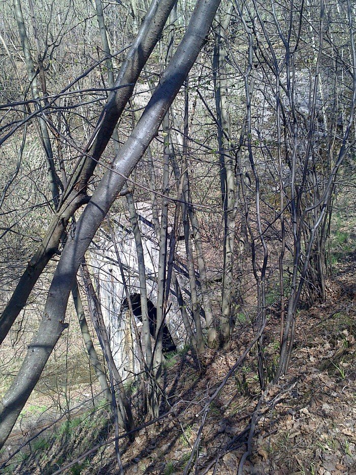 unikalnym-tunelem-w-gory-sokole-foto-60571