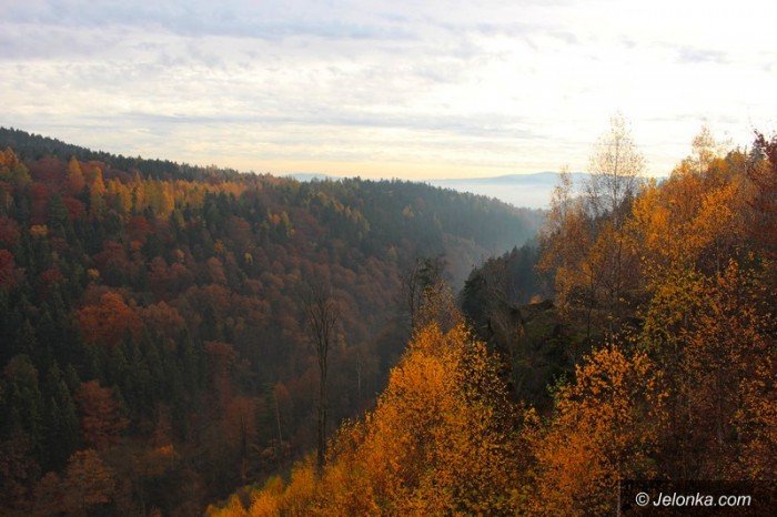 sciezka-poetow-oficjalnie-otwarta-foto-60577