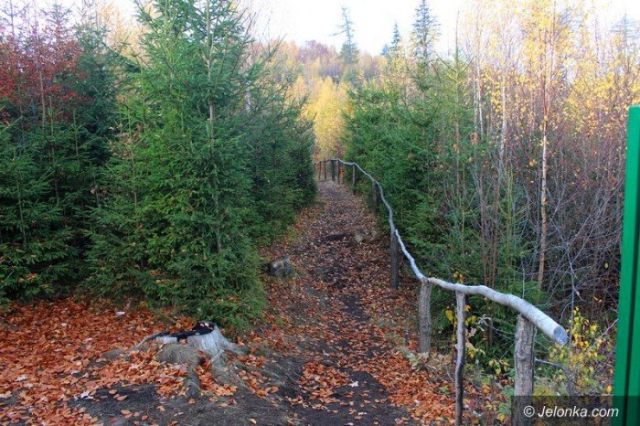 sciezka-poetow-oficjalnie-otwarta-foto-60577