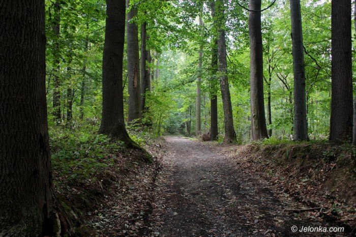 sciezka-poetow-oficjalnie-otwarta-foto-60577
