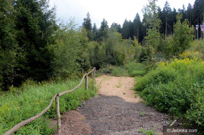 sciezka-poetow-oficjalnie-otwarta-foto-60577
