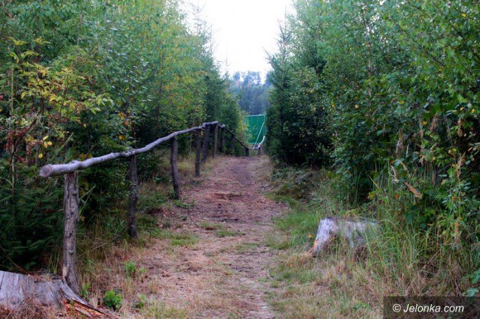 sciezka-poetow-oficjalnie-otwarta-foto-60577
