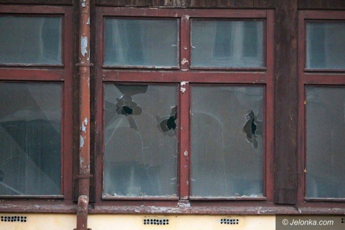 bezdomni-z-sudetow-dewastuja-dziaki-foto-60677