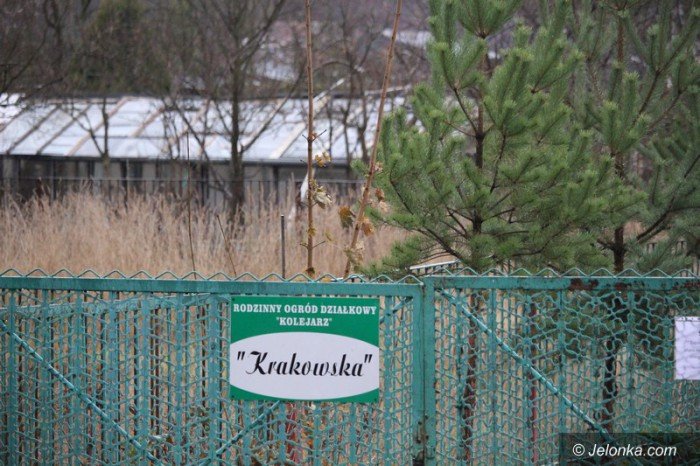 bezdomni-z-sudetow-dewastuja-dziaki-foto-60677