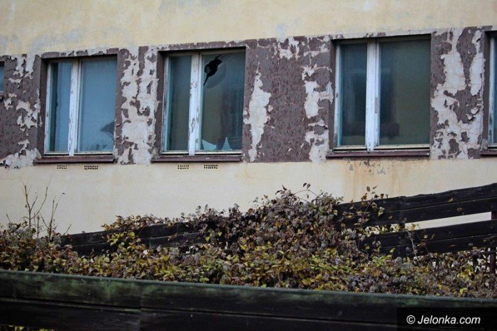 bezdomni-z-sudetow-dewastuja-dziaki-foto-60677