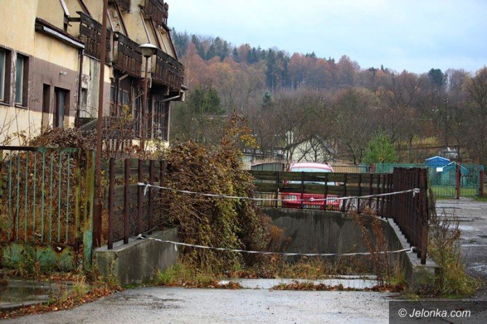 bezdomni-z-sudetow-dewastuja-dziaki-foto-60677
