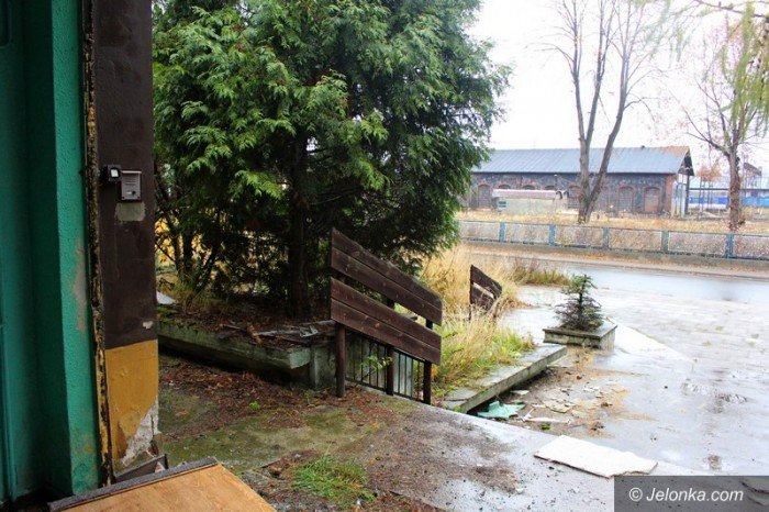 bezdomni-z-sudetow-dewastuja-dziaki-foto-60677