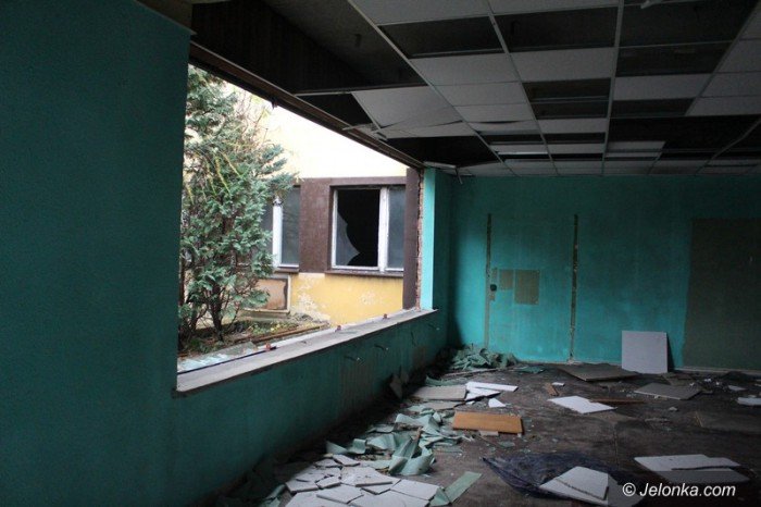 bezdomni-z-sudetow-dewastuja-dziaki-foto-60677