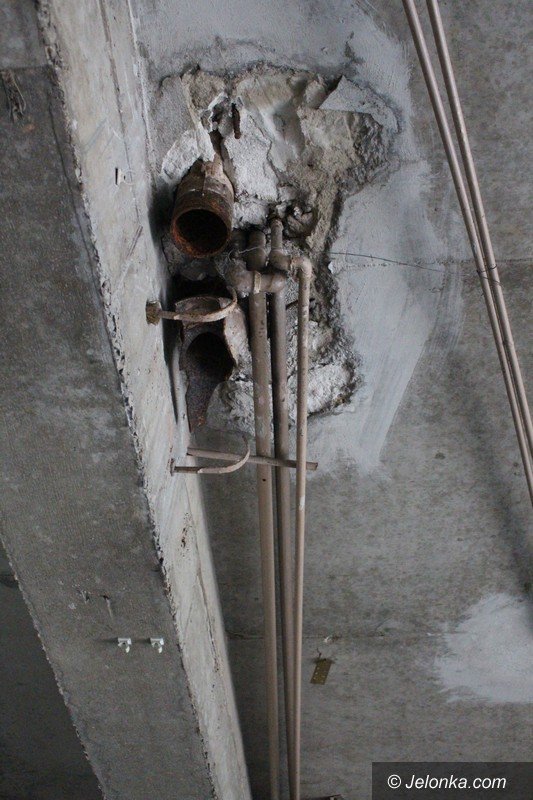 bezdomni-z-sudetow-dewastuja-dziaki-foto-60677