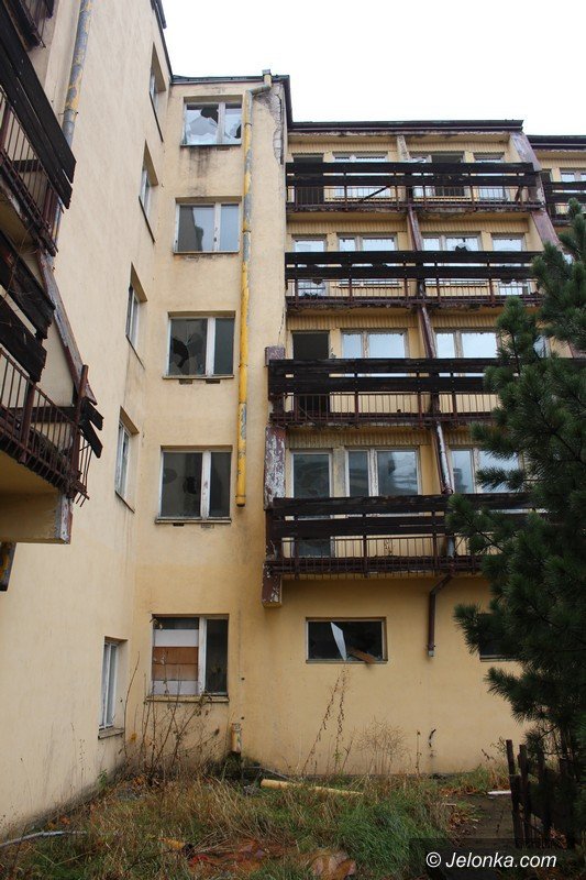 bezdomni-z-sudetow-dewastuja-dziaki-foto-60677