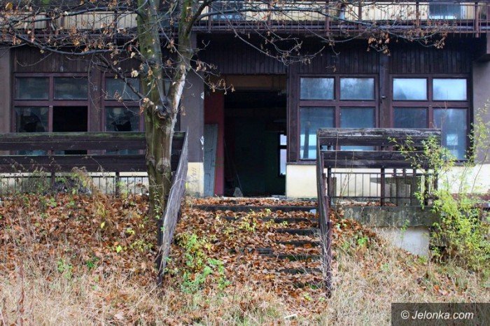 bezdomni-z-sudetow-dewastuja-dziaki-foto-60677