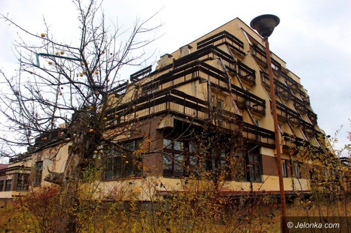 bezdomni-z-sudetow-dewastuja-dziaki-foto-60677