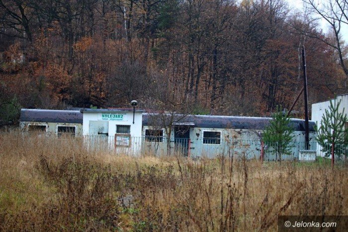 bezdomni-z-sudetow-dewastuja-dziaki-foto-60677