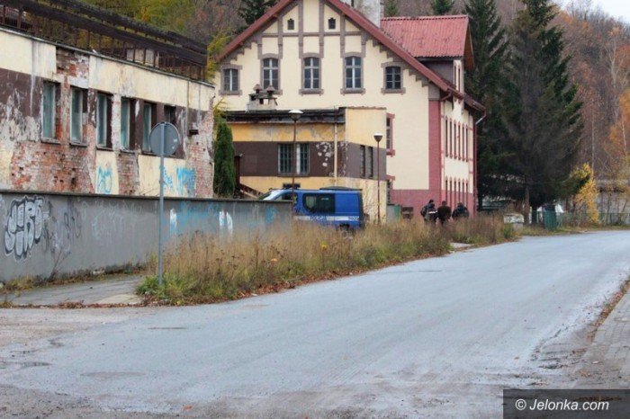 bezdomni-z-sudetow-dewastuja-dziaki-foto-60677