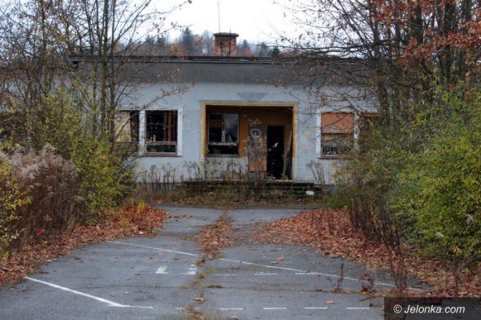 bezdomni-z-sudetow-dewastuja-dziaki-foto-60677