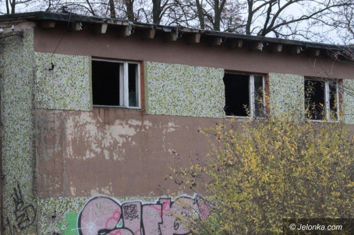 bezdomni-z-sudetow-dewastuja-dziaki-foto-60677