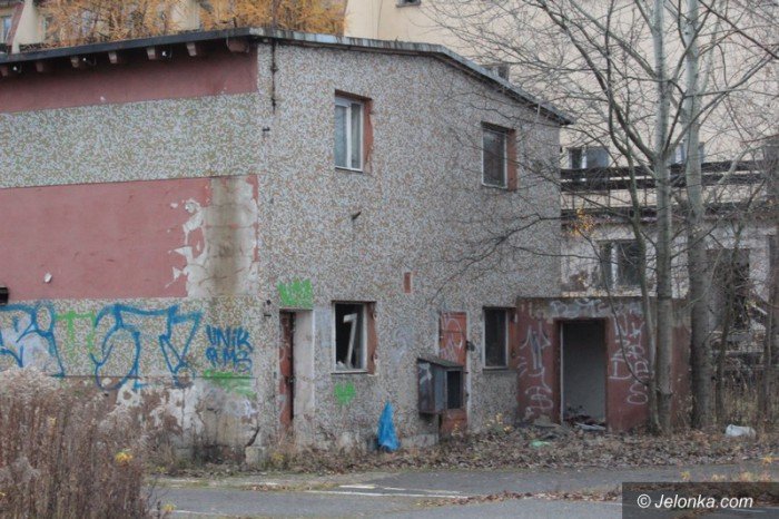 bezdomni-z-sudetow-dewastuja-dziaki-foto-60677