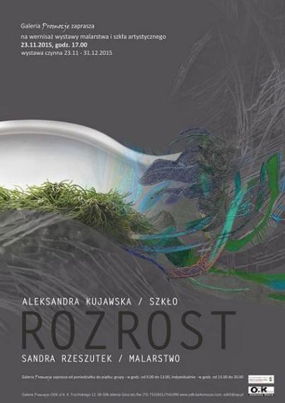 wystawa-aleksandry-kujawskiej-i-sandry-rzeszutek-w-odk-60740