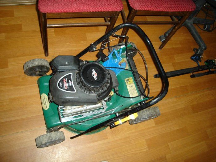 kradli-na-potege-teraz-posiedza-foto-60772