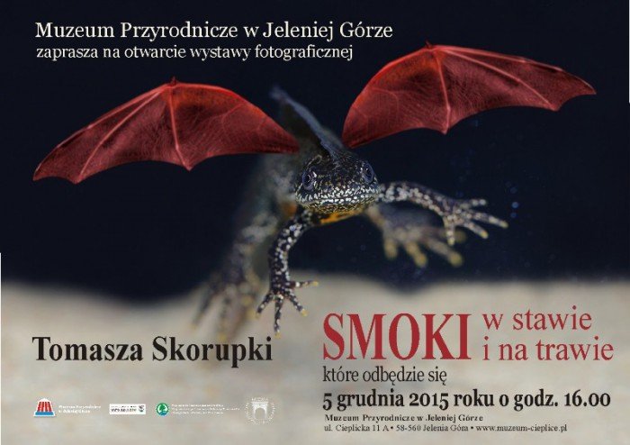 smoki-w-stawie-i-na-trawie-w-muzeum-przyrodniczym-60868