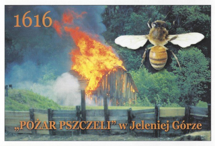 Widokówka wydana przez Muzeum Przyrodnicze w Jeleniej Górze