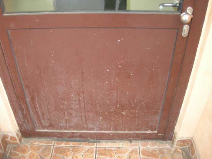 kto-zapaci-za-zniszczone-elewacje-foto-60949