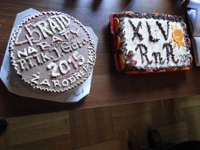 rajd-na-raty-2015-dobieg-konca-foto-61060