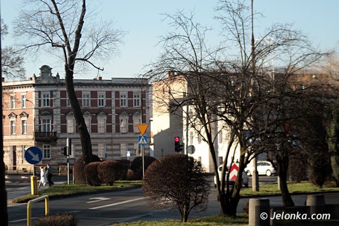 krzaki-zasaniaja-widocznosc-na-skrzyzowaniu-foto-61062