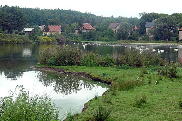 Blisko tego miejsca stały niegdyś zabudowania cegielni.
