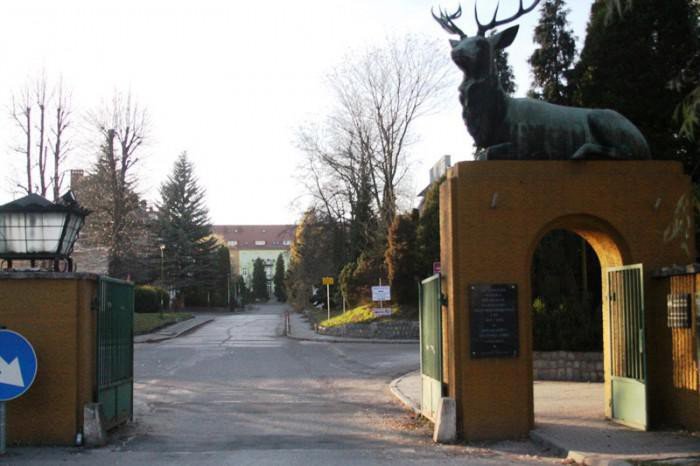 miasto-przejeo-drogi-w-osiedlu-pod-jeleniami-foto-61198