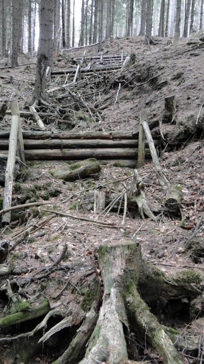 swiateczna-wycieczka-z-niespodziankami-foto-61283