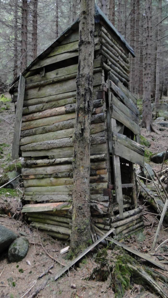 swiateczna-wycieczka-z-niespodziankami-foto-61283