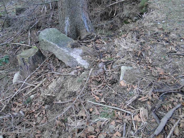 swiateczna-wycieczka-z-niespodziankami-foto-61283