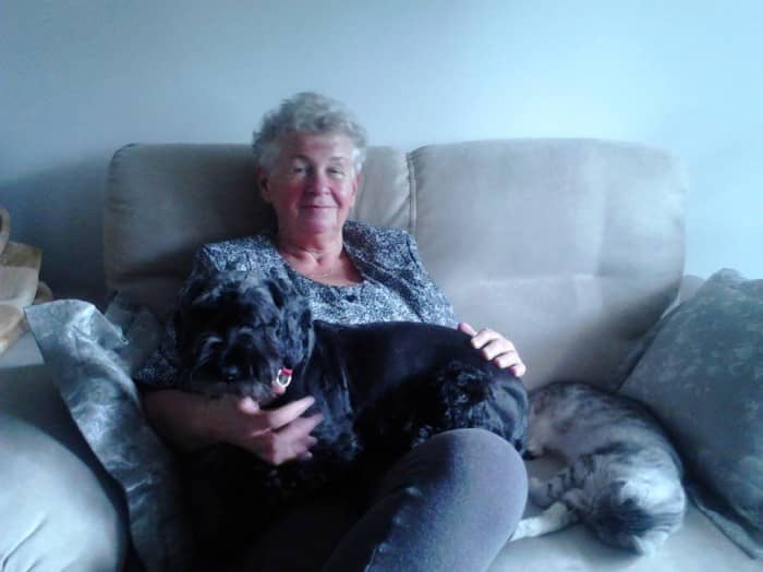 w-gebocku-zaginea-suczka-61293