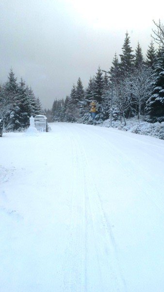 droga-niczyja-do-granicy-panstwa-foto-61469