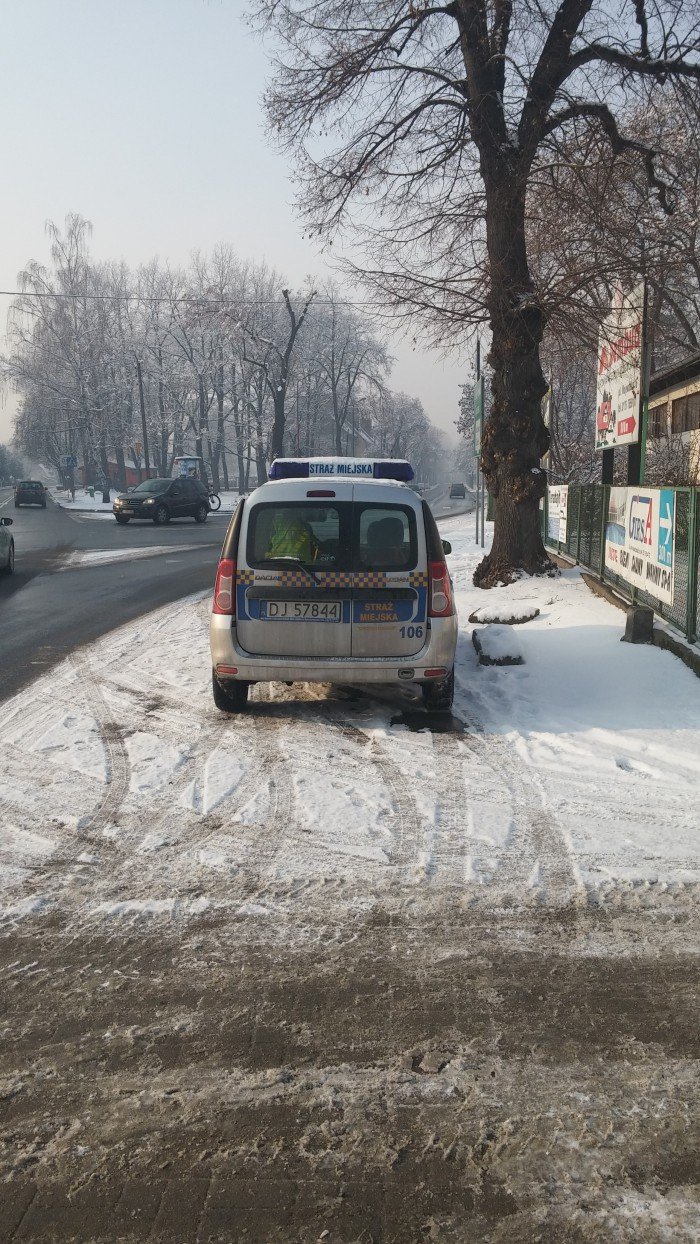 czytelnik-tak-zaparkowali-miejscy-straznicy-foto-61568