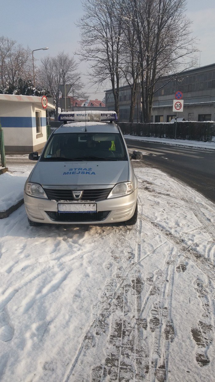 czytelnik-tak-zaparkowali-miejscy-straznicy-foto-61568