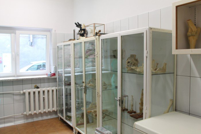technikum-weterynaryjne-szkoa-mistrzow-61646