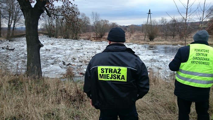 zator-na-bobrze-dziaania-strazy-miejskiej-foto-61652