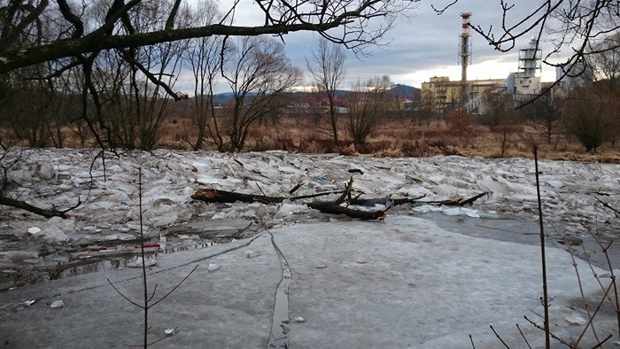 zator-na-bobrze-dziaania-strazy-miejskiej-foto-61652