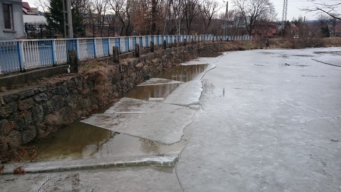 zator-na-bobrze-dziaania-strazy-miejskiej-foto-61652