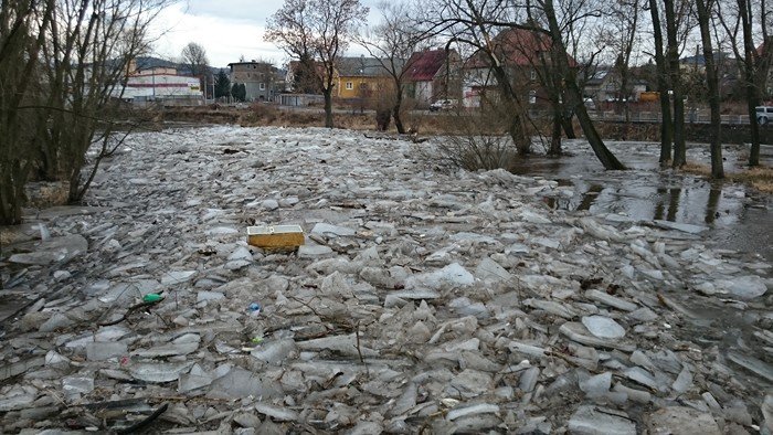 zator-na-bobrze-dziaania-strazy-miejskiej-foto-61652
