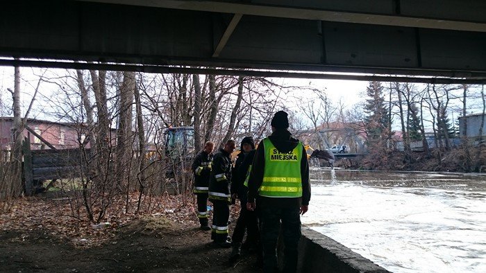 zator-na-bobrze-dziaania-strazy-miejskiej-foto-61652