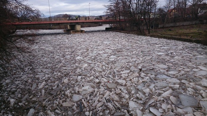 zator-na-bobrze-dziaania-strazy-miejskiej-foto-61652