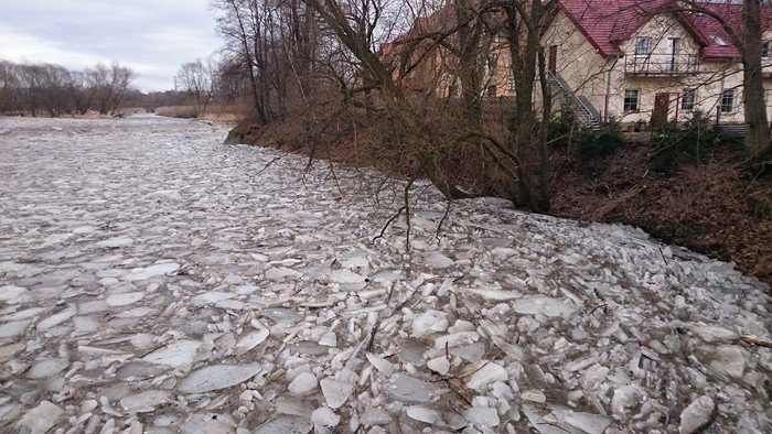 zator-na-bobrze-dziaania-strazy-miejskiej-foto-61652