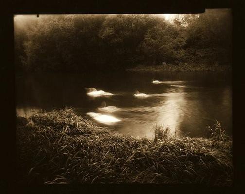 fotografia-ewy-andrzejewskiej-w-galerii-korytarz-foto-61660